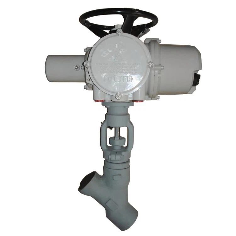 Y type globe valve2